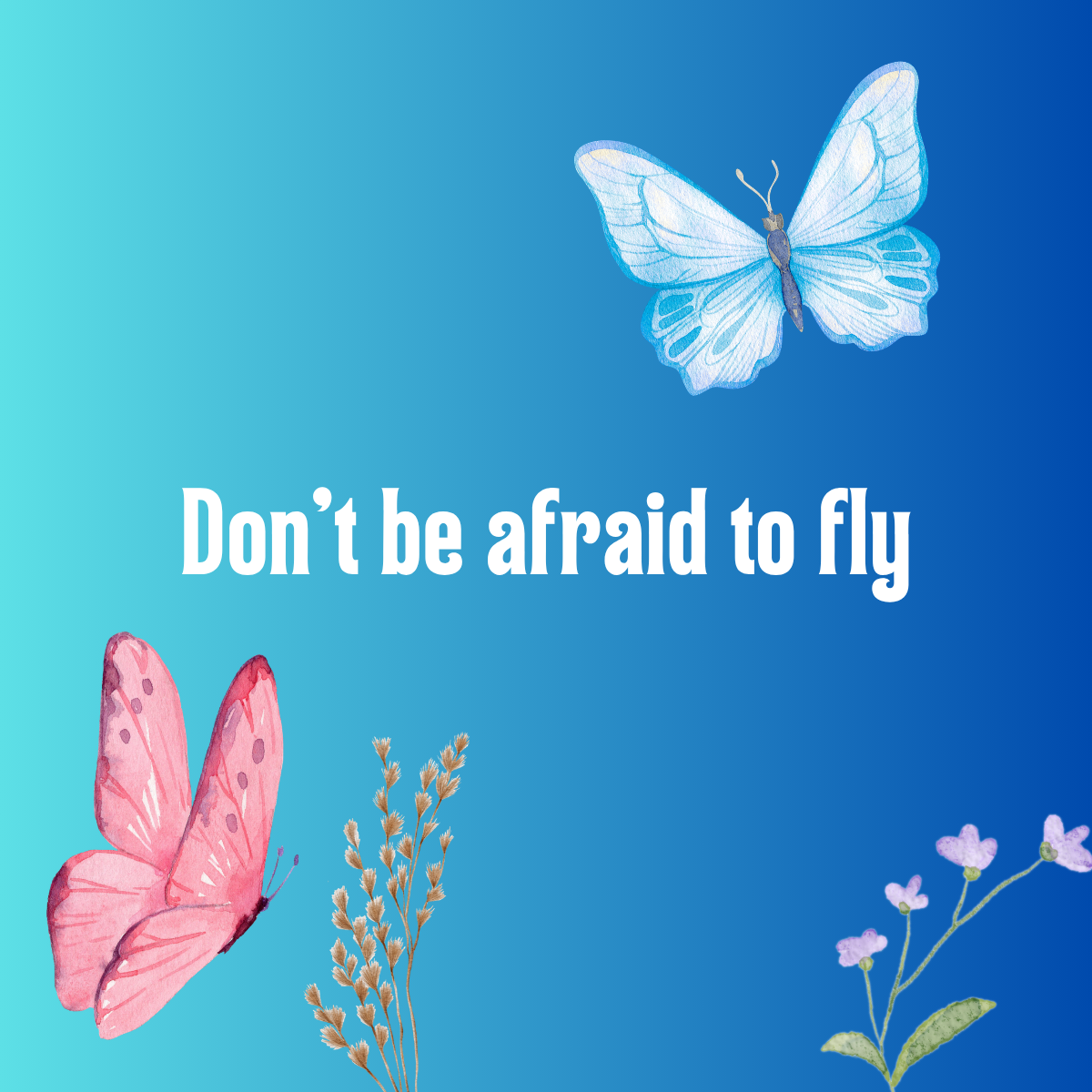 Soar